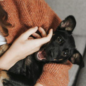 Foto de Veronika Jorjobert en Unsplash.