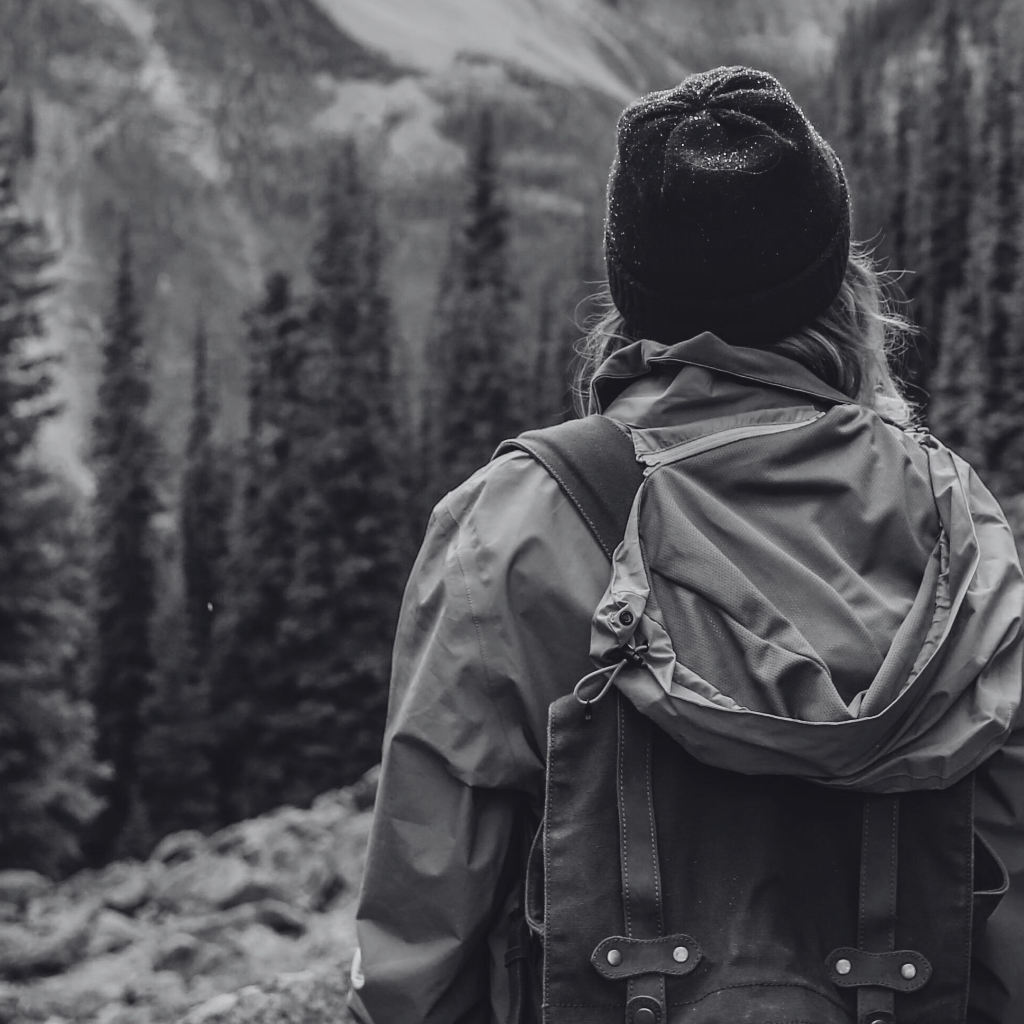 Visión de El Desván de las Mariposas.